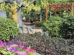 -兴芮温泉度假区