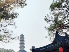 -江心屿景区