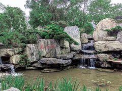 -东莞植物园