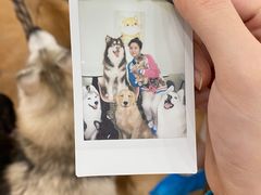 -Let's go狗咖·猫咖·奶狗·桌游(春熙路IFS店)