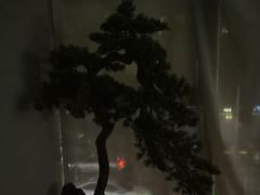-上足·影院足道·SPA(红岭店)