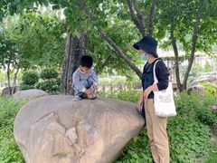 -南通洲际绿博园