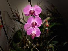 -沐森 •疗愈头疗馆(打浦桥店)