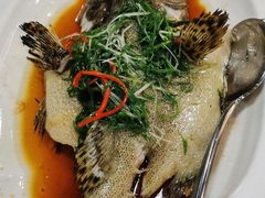 -明本湛江鸡•海鲜小厨(陈家祠店)