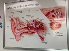 -自然之声助听器·呼吸机(翠微大厦店)