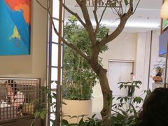 -桂满陇·海市蜃楼·黑金(国金店)