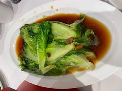 白灼罗马生菜-眉州东坡(团结湖店)