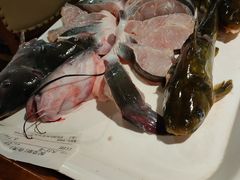 -融泽漁悦三只耳鱼火锅(南郑大道店)