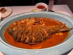 -阿五黄河大鲤鱼(英协路店)