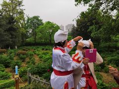 -宝鸡植物园