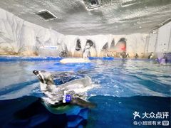 -昆明动物园