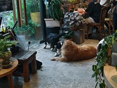 -自由生长植物工作室(深港花卉中心店)
