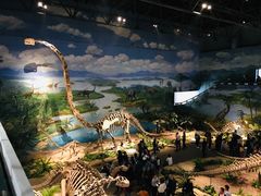 -自贡恐龙博物馆