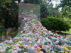 -上海共青森林公园