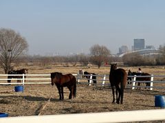 -赛汗塔拉风情园