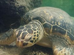 -苏州海洋馆