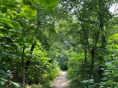 -阳台山自然风景区