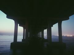 -宝安西湾红树林湿地公园