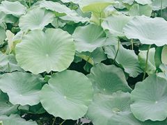 -人民公社大食堂(顺义总店)