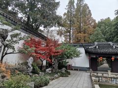 -上海醉白池公园