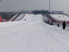 -沈阳奥体冰雪嘉年华