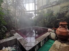 -仁爱团泊湖温泉中心