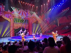 -珠海横琴长隆《卡卡虎奇遇记》