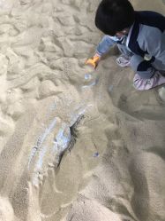 -恐龙探索乐园(磁器口店)