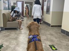 -美联众合动物医院·24h转诊中心