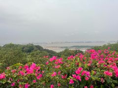 -广州莲花山旅游区