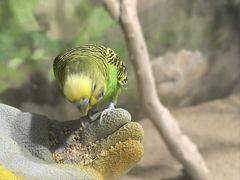 -大连圣亚海洋世界