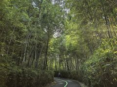 -天目湖涵田度假村