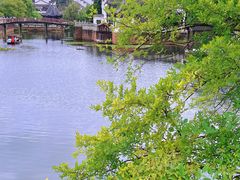 -八大山人梅湖景区