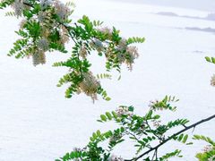 -青岛第三海水浴场