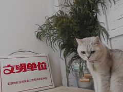-小时光咖啡馆(北锣鼓巷店)