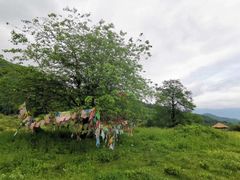 -硗碛藏寨·神木垒景区