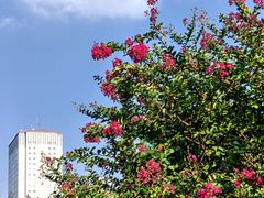 -建国门(地铁站)