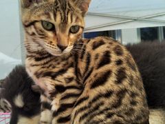 -新世界百货(顺义店)