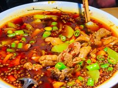 鲜椒肥肠鸡-思博半步颠小酒馆(梦时代店)