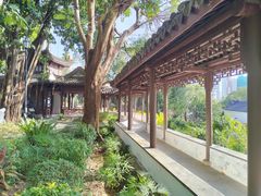 -九龙寨城公园