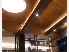 -GOGO Plate(成都太古里店)