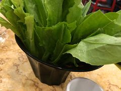 -活鱼馆(宜兴埠店)