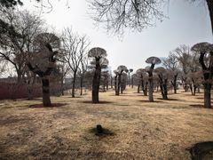 -西海子公园