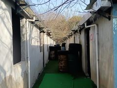 -东湖小天池真人CS彩弹野战基地