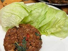 -VEGA VEGA 我行我素