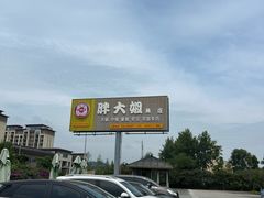 -胖大姐黄辣丁鱼庄(新津店)