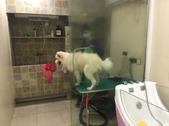 -佳雯宠物医院(四明中路分院)