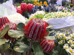 -双季花艺园艺市场(浦东店)