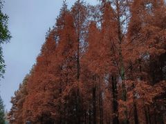 -贵阳市花溪国家城市湿地公园