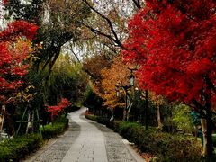 -绍兴鲁迅故里·沈园景区